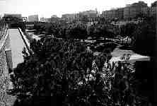 Parque.jpg